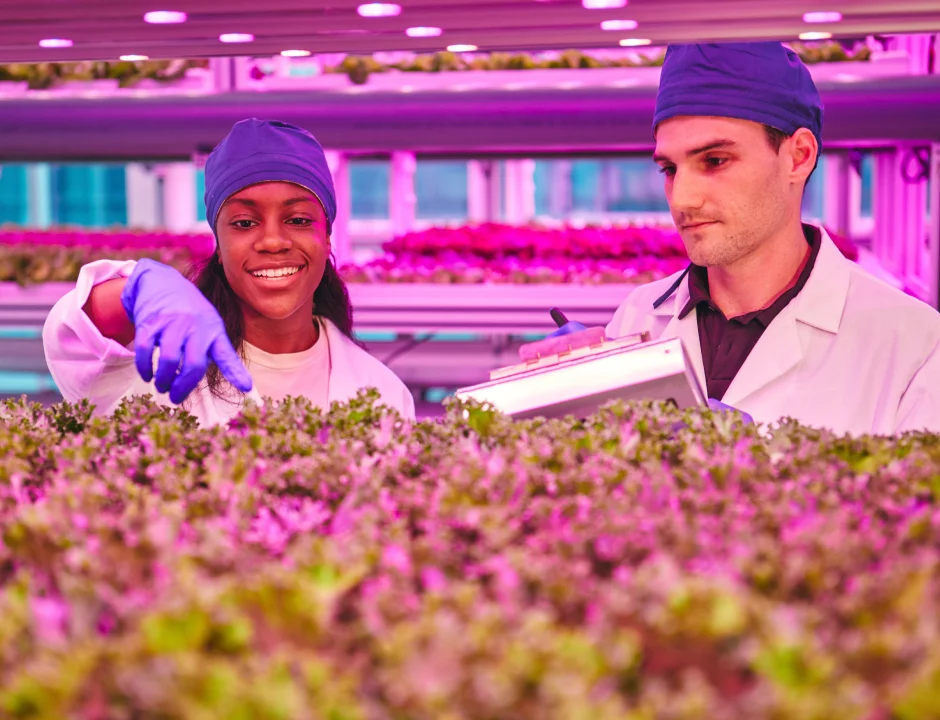 Estudiantes de agricultura trabajando
